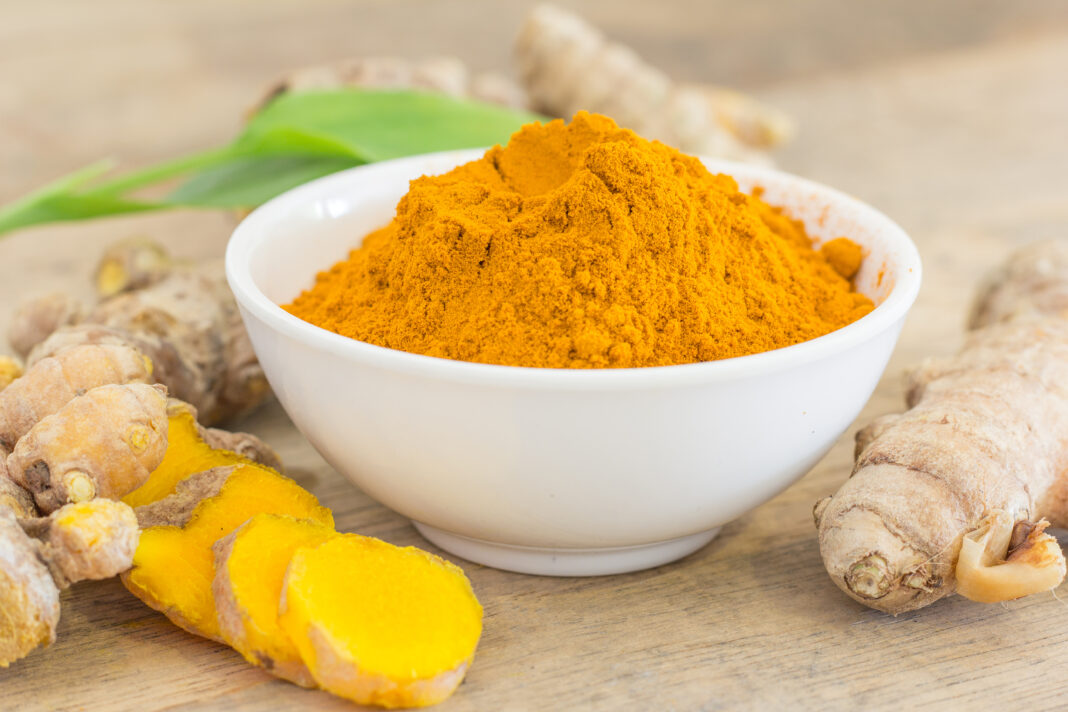 turmeric for dogs